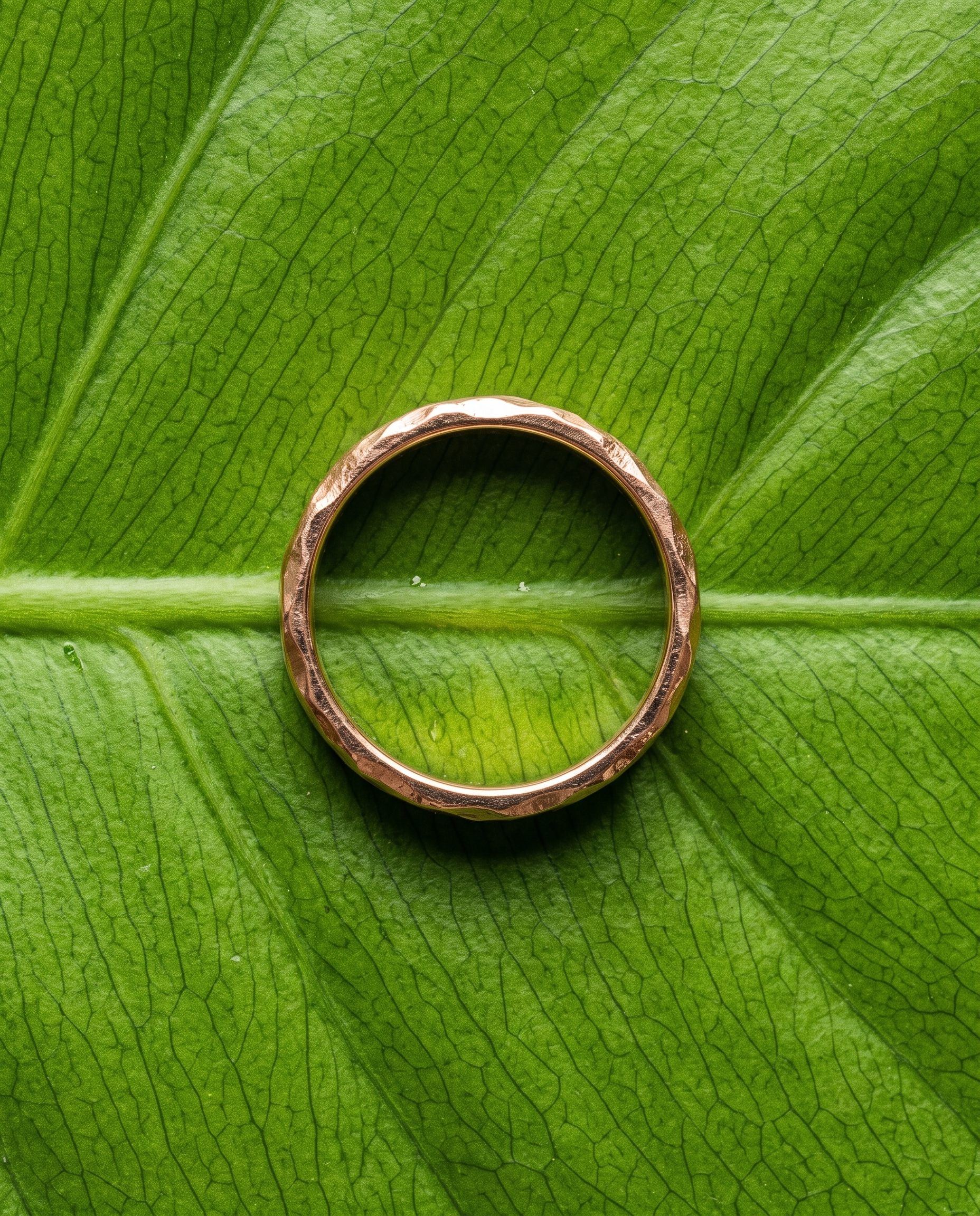 Flower Date jewelry photography example 19